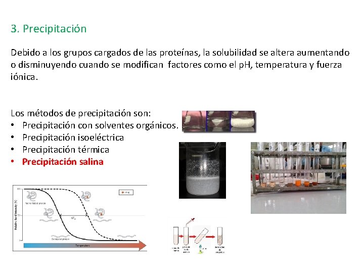 3. Precipitación Debido a los grupos cargados de las proteínas, la solubilidad se altera 3. Precipitación Debido a los grupos cargados de las proteínas, la solubilidad se altera