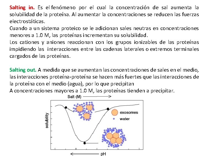 Salting in. Es el fenómeno por el cual la concentración de sal aumenta la Salting in. Es el fenómeno por el cual la concentración de sal aumenta la