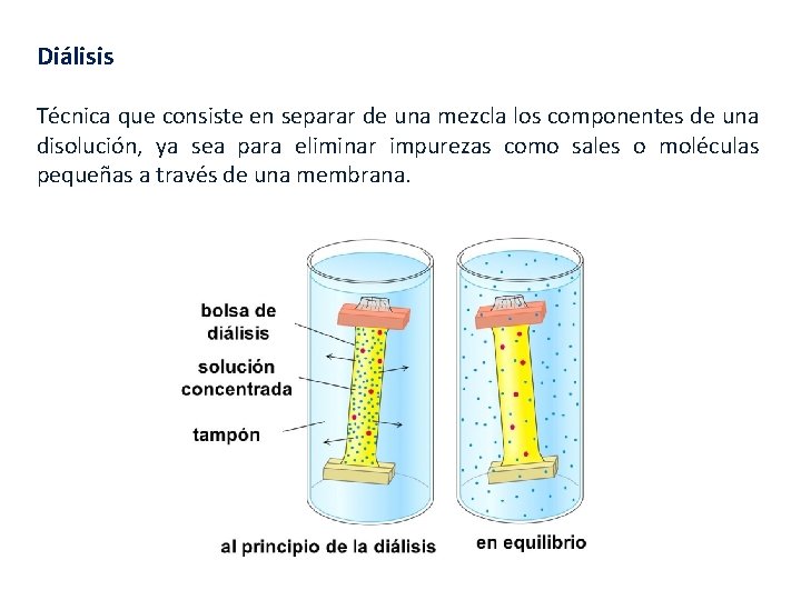 Diálisis Técnica que consiste en separar de una mezcla los componentes de una disolución, Diálisis Técnica que consiste en separar de una mezcla los componentes de una disolución,