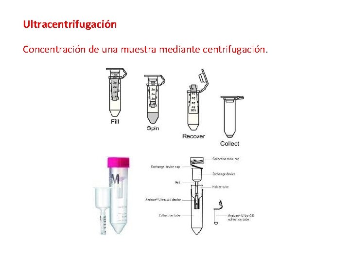 Ultracentrifugación Concentración de una muestra mediante centrifugación. Ultracentrifugación Concentración de una muestra mediante centrifugación.