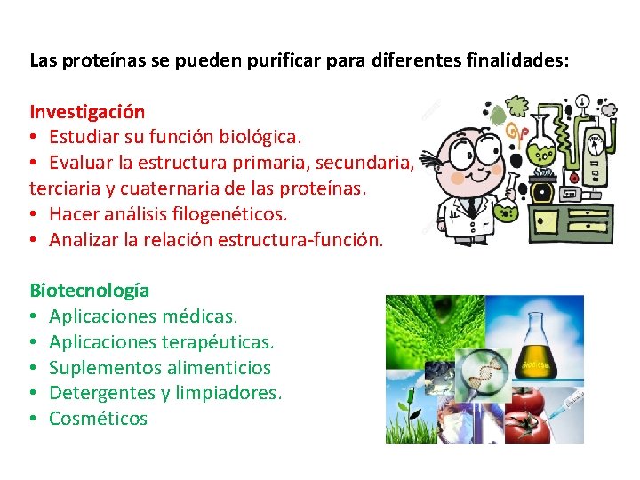 Las proteínas se pueden purificar para diferentes finalidades: Investigación • Estudiar su función biológica. Las proteínas se pueden purificar para diferentes finalidades: Investigación • Estudiar su función biológica.