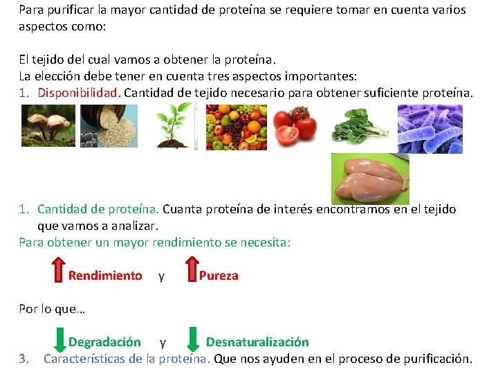 Para purificar la mayor cantidad de proteína se requiere tomar en cuenta varios aspectos Para purificar la mayor cantidad de proteína se requiere tomar en cuenta varios aspectos