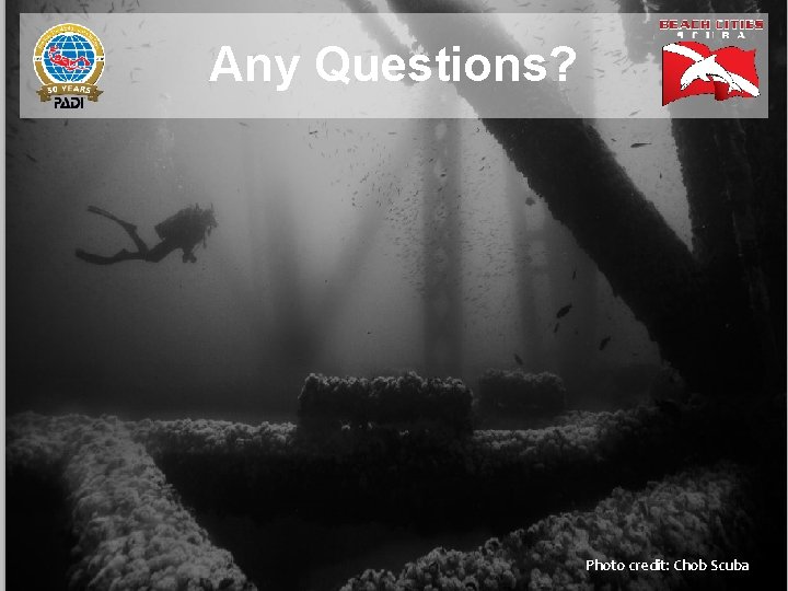 Any Questions? Photo credit: Chob Scuba 