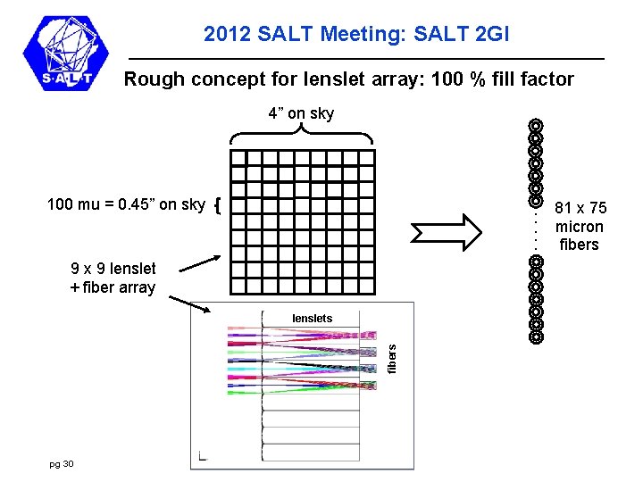2012 SALT Meeting: SALT 2 GI Rough concept for lenslet array: 100 % fill