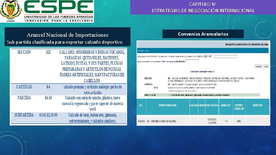 CAPITULO IV ESTRATEGIAS DE NEGOCIACIÓN INTERNACIONAL Arancel Nacional de Importaciones Sub partida clasificada para
