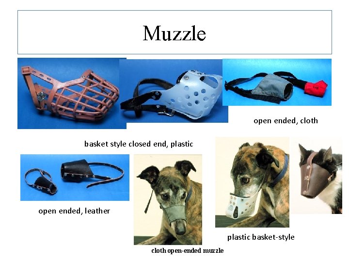Muzzle open ended, cloth basket style closed end, plastic open ended, leather plastic basket-style Muzzle open ended, cloth basket style closed end, plastic open ended, leather plastic basket-style