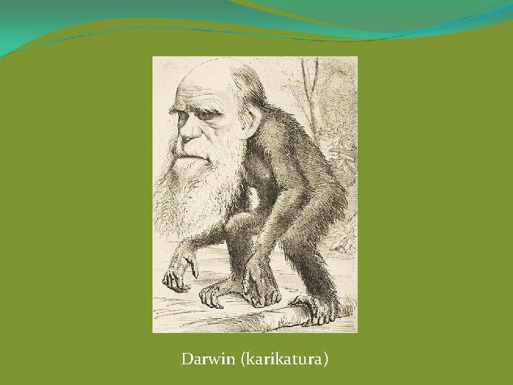 Darwin (karikatura) 