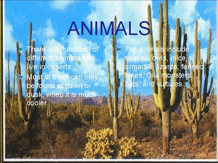 ANIMALS There are hundreds of different animals that live in deserts. Most of them