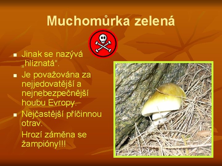 Muchomůrka zelená n n n Jinak se nazývá „hlíznatá“. Je považována za nejjedovatější a