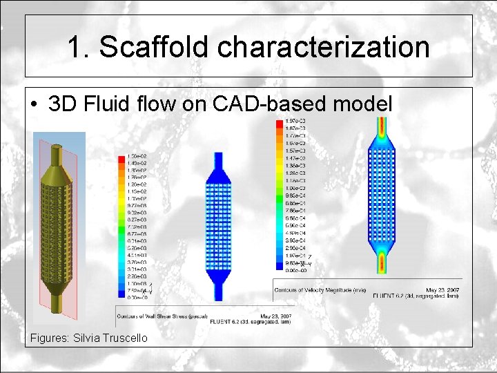 1. Scaffold characterization • 3 D Fluid flow on CAD-based model Figures: Silvia Truscello