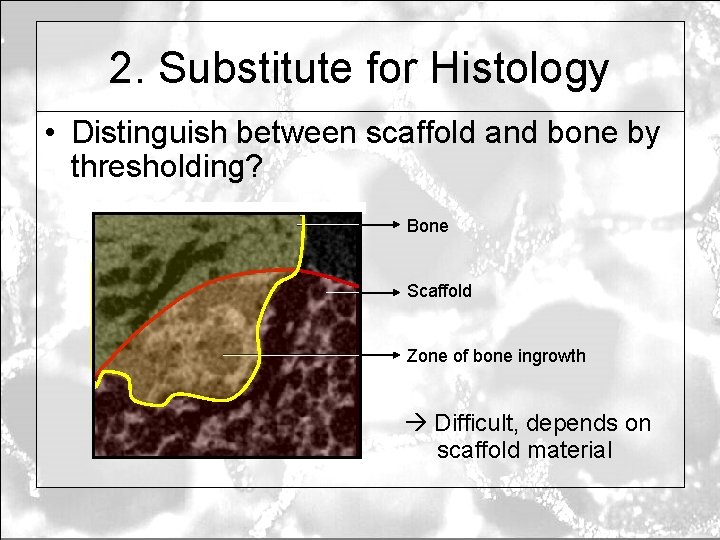 2. Substitute for Histology • Distinguish between scaffold and bone by thresholding? Bone Scaffold