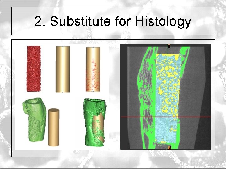 2. Substitute for Histology 