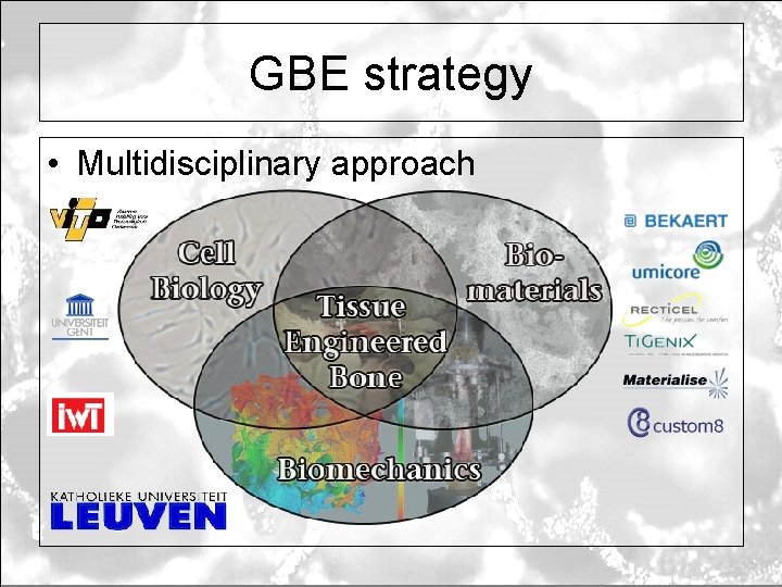 GBE strategy • Multidisciplinary approach 