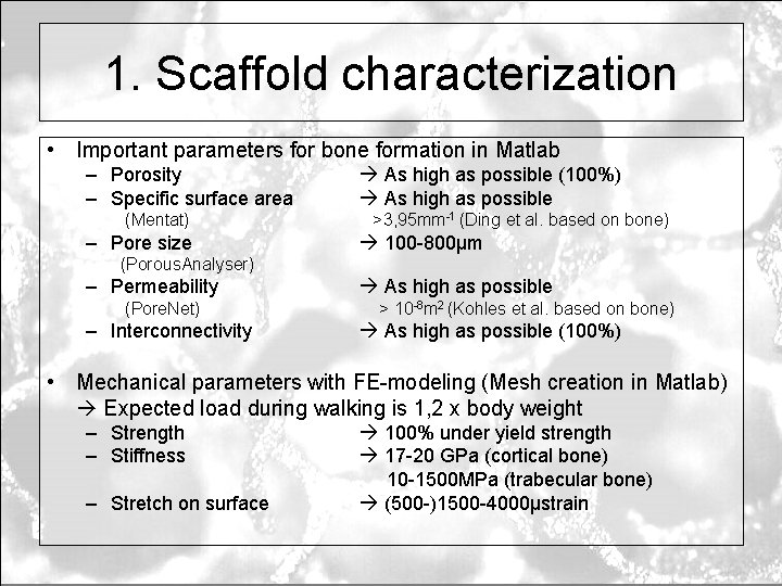 1. Scaffold characterization • Important parameters for bone formation in Matlab – Porosity –