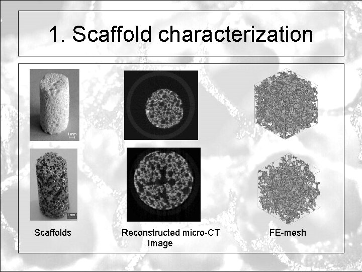 1. Scaffold characterization Scaffolds Reconstructed micro-CT Image FE-mesh 