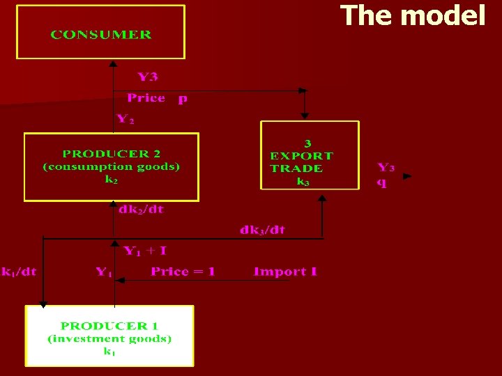 The model 