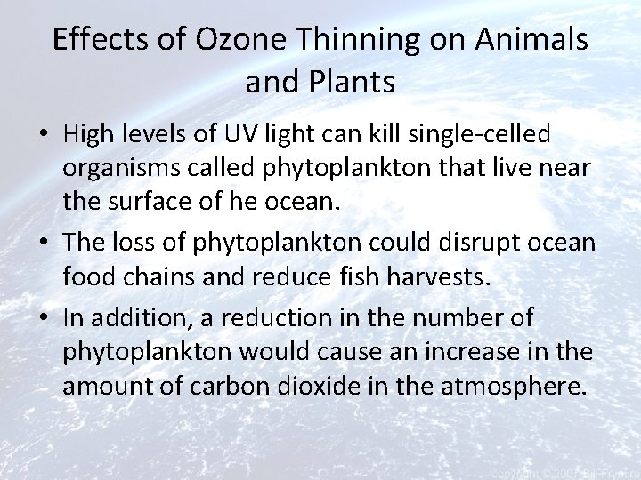 Effects of Ozone Thinning on Animals and Plants • High levels of UV light