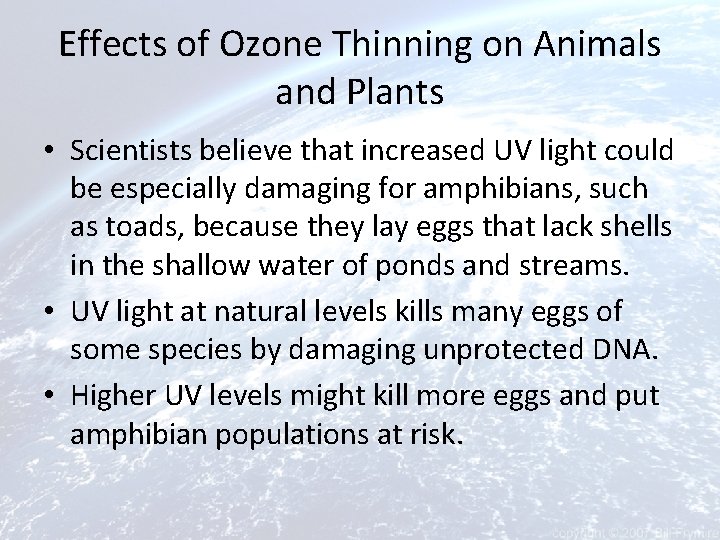 Effects of Ozone Thinning on Animals and Plants • Scientists believe that increased UV