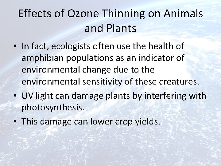 Effects of Ozone Thinning on Animals and Plants • In fact, ecologists often use