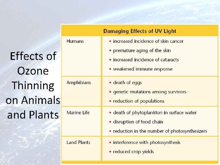 Effects of Ozone Thinning on Animals and Plants 