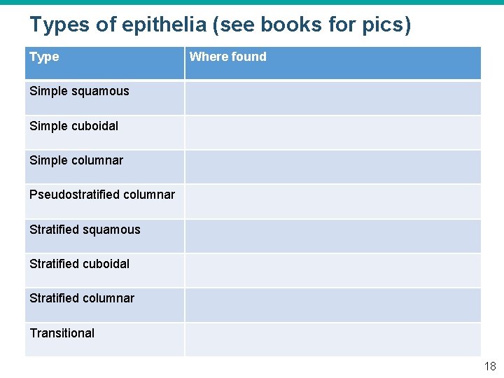 Types of epithelia (see books for pics) Type Where found Simple squamous Simple cuboidal