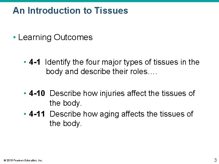 An Introduction to Tissues • Learning Outcomes • 4 -1 Identify the four major