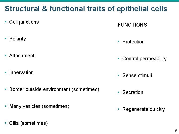 Structural & functional traits of epithelial cells • Cell junctions • Polarity • Attachment