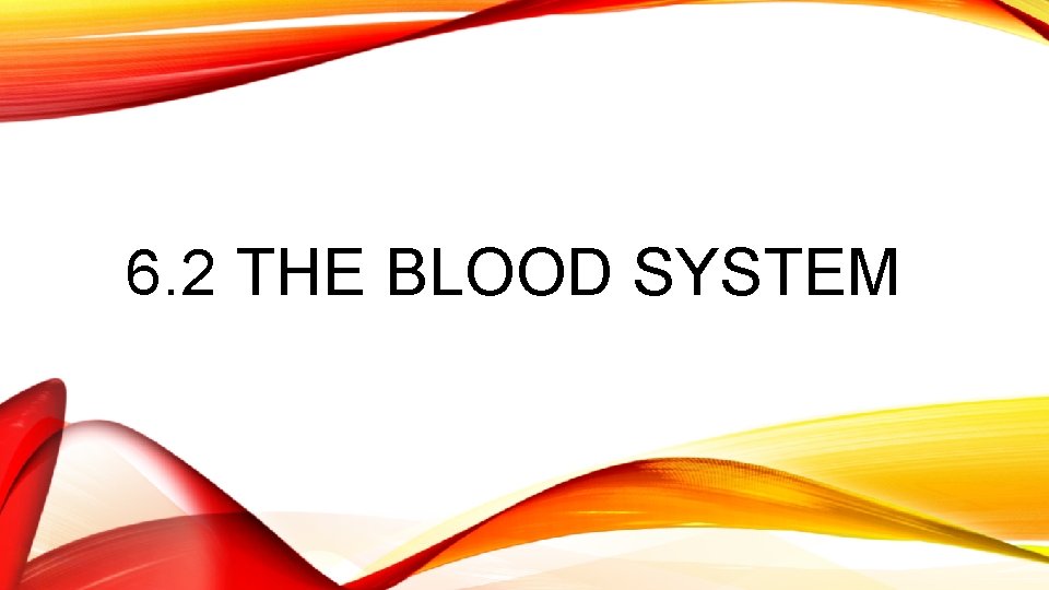 6. 2 THE BLOOD SYSTEM 