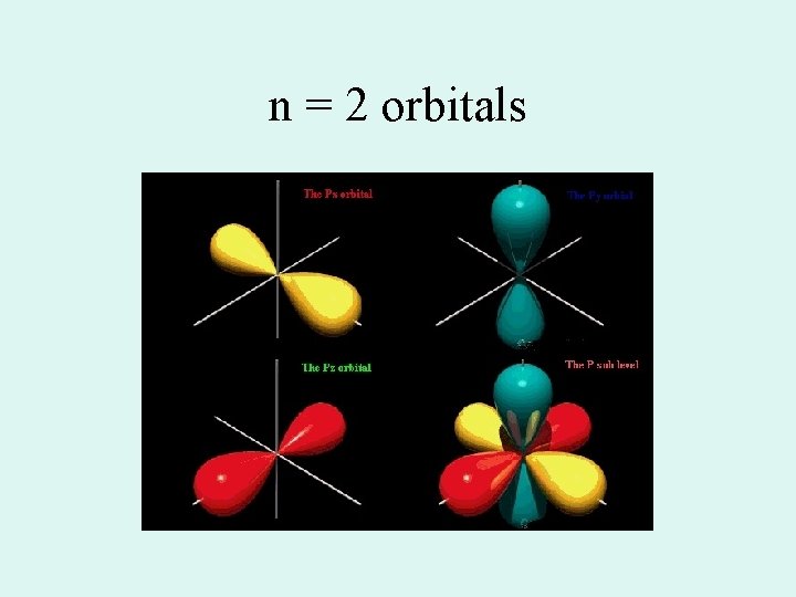 n = 2 orbitals 