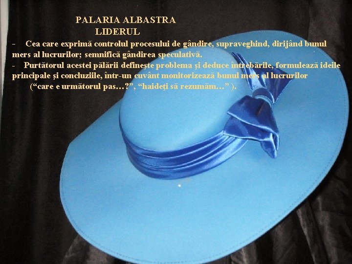 PALARIA ALBASTRA LIDERUL - Cea care exprimă controlul procesului de gândire, supraveghind, dirijând bunul