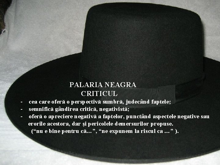 PALARIA NEAGRA CRITICUL - cea care oferă o perspectivă sumbră, judecând faptele; - semnifică