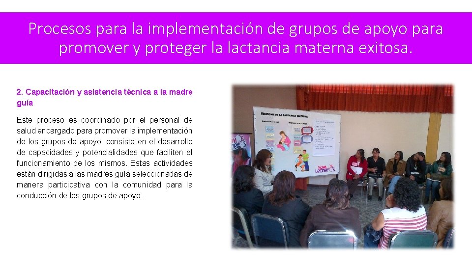 Procesos para la implementación de grupos de apoyo para promover y proteger la lactancia