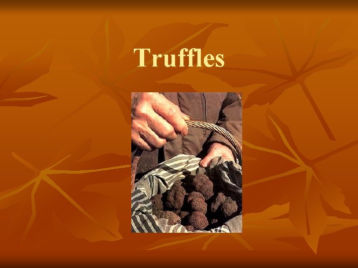 Truffles 
