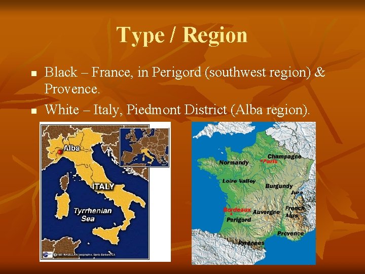 Type / Region n n Black – France, in Perigord (southwest region) & Provence.