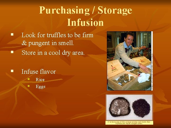 Purchasing / Storage Infusion § Look for truffles to be firm § & pungent
