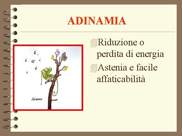ADINAMIA 4 Riduzione o perdita di energia 4 Astenia e facile affaticabilità ADINAMIA 4 Riduzione o perdita di energia 4 Astenia e facile affaticabilità