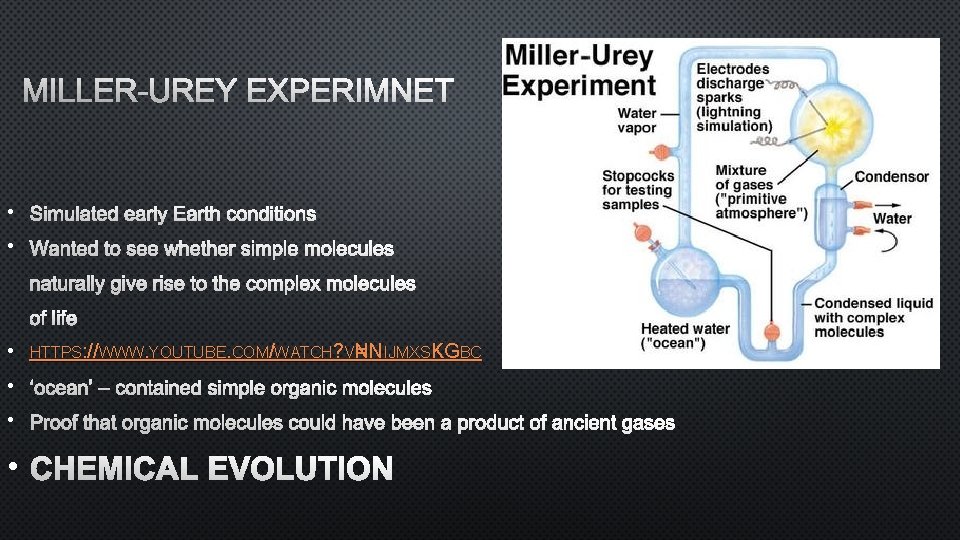 MILLER-UREY EXPERIMNET • Simulated early Earth conditions • Wanted to see whether simple molecules