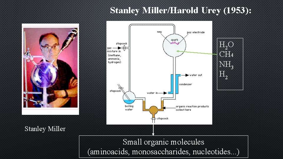 Stanley Miller/Harold Urey (1953): H 2 O CH 4 NH 3 H 2 Stanley