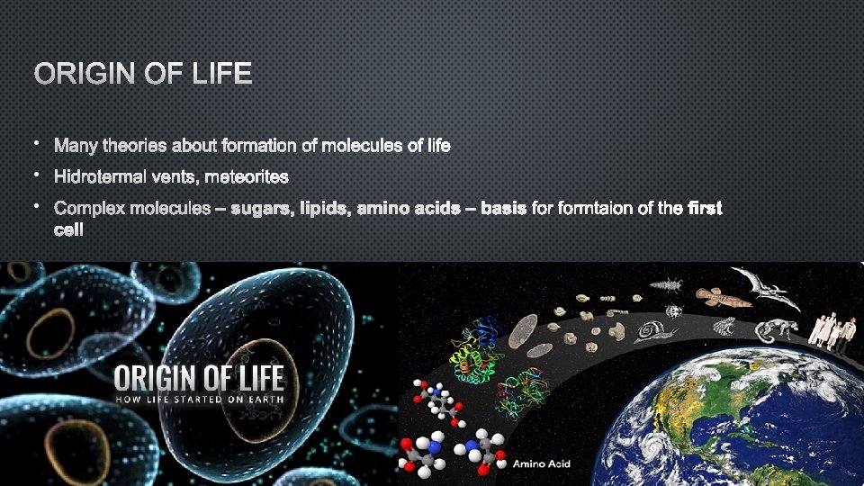 ORIGIN OF LIFE • Many theories about formation of molecules of life • Hidrotermal