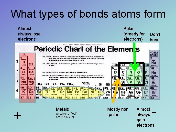 What types of bonds atoms form Almost always lose electrons + Polar (greedy for