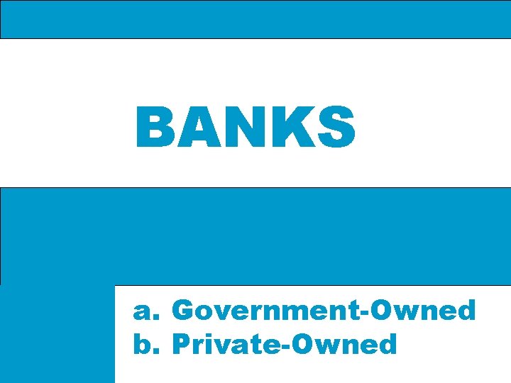 BANKS a. Government-Owned b. Private-Owned 