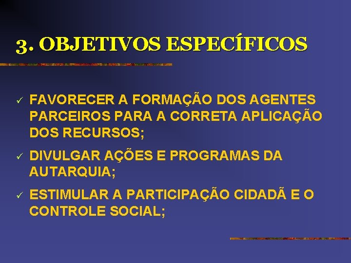 3. OBJETIVOS ESPECÍFICOS ü FAVORECER A FORMAÇÃO DOS AGENTES PARCEIROS PARA A CORRETA APLICAÇÃO