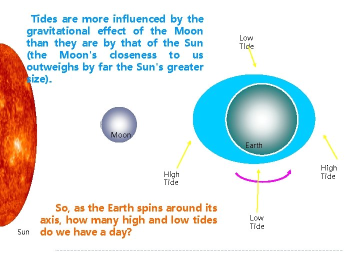 Tides are more influenced by the gravitational effect of the Moon than they are Tides are more influenced by the gravitational effect of the Moon than they are