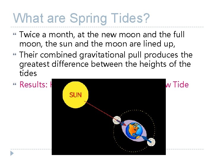 What are Spring Tides? Twice a month, at the new moon and the full What are Spring Tides? Twice a month, at the new moon and the full