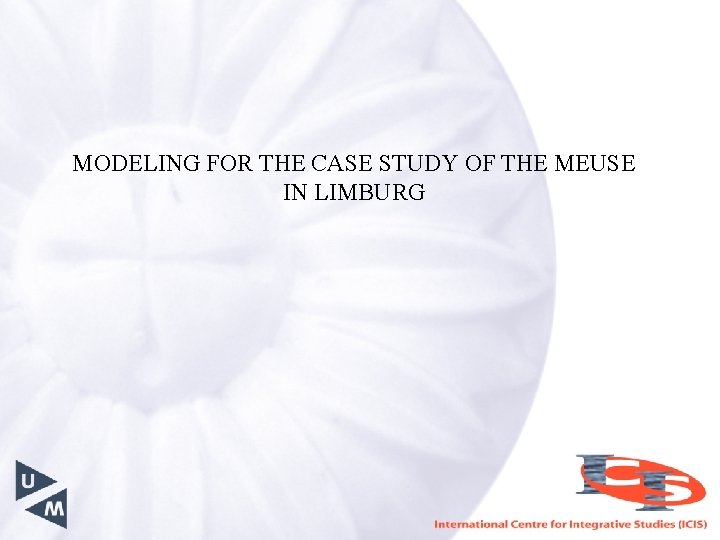 MODELING FOR THE CASE STUDY OF THE MEUSE IN LIMBURG 