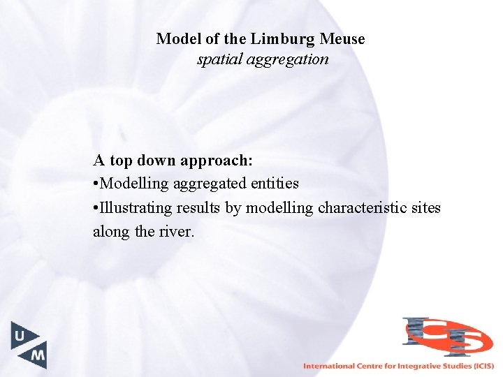 Model of the Limburg Meuse spatial aggregation A top down approach: • Modelling aggregated