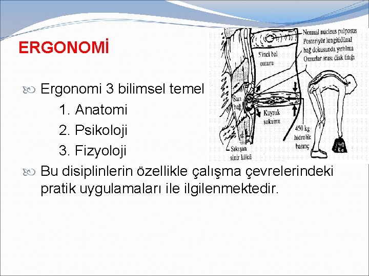 ERGONOMİ Ergonomi 3 bilimsel temel 1. Anatomi 2. Psikoloji 3. Fizyoloji Bu disiplinlerin özellikle