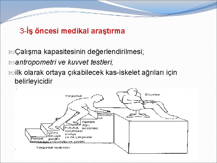 ç 3 -İş öncesi medikal araştırma Çalışma kapasitesinin değerlendirilmesi; antropometri ve kuvvet testleri, ilk