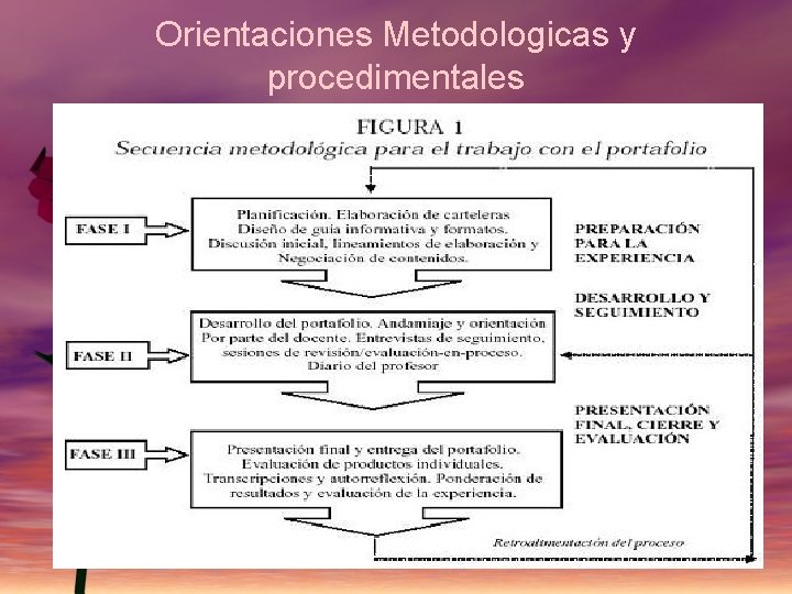 Orientaciones Metodologicas y procedimentales 