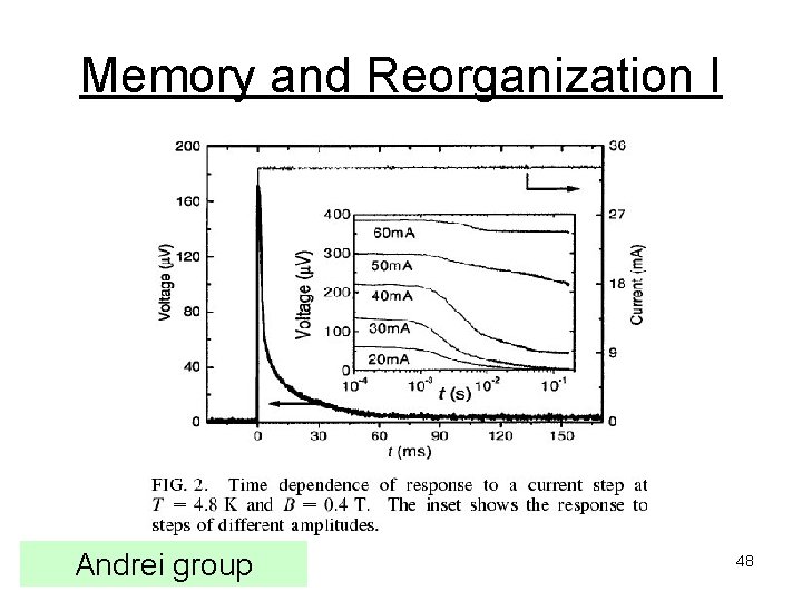 Memory and Reorganization I Andrei group 48 
